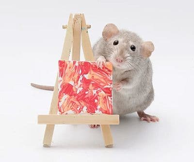Rat Paintings
