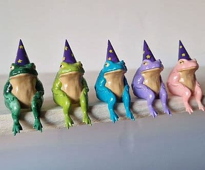 Little Frog Wizards